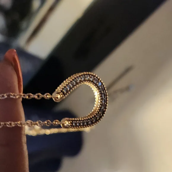 Judith Ripka 18inch Horseshoe Necklace - Picture 15 of 16